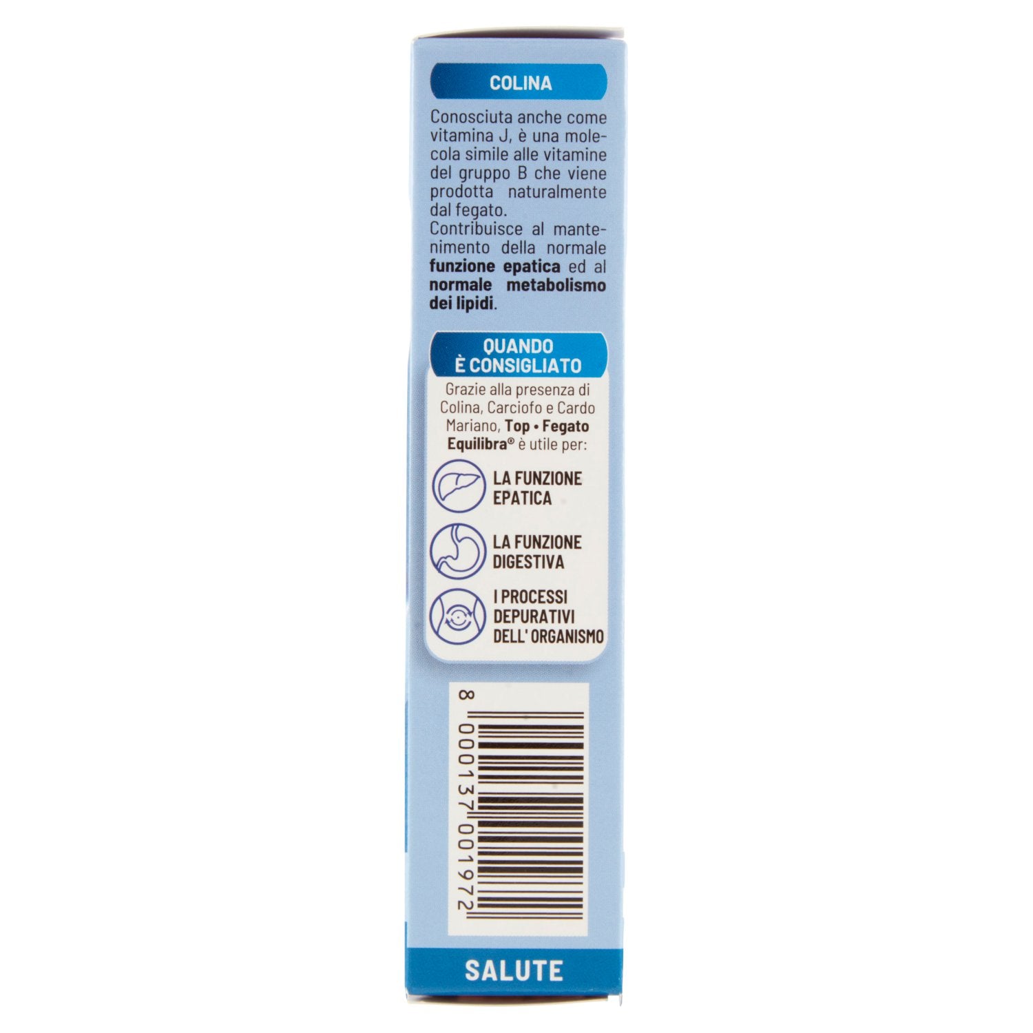 Parte+destra+planogramma