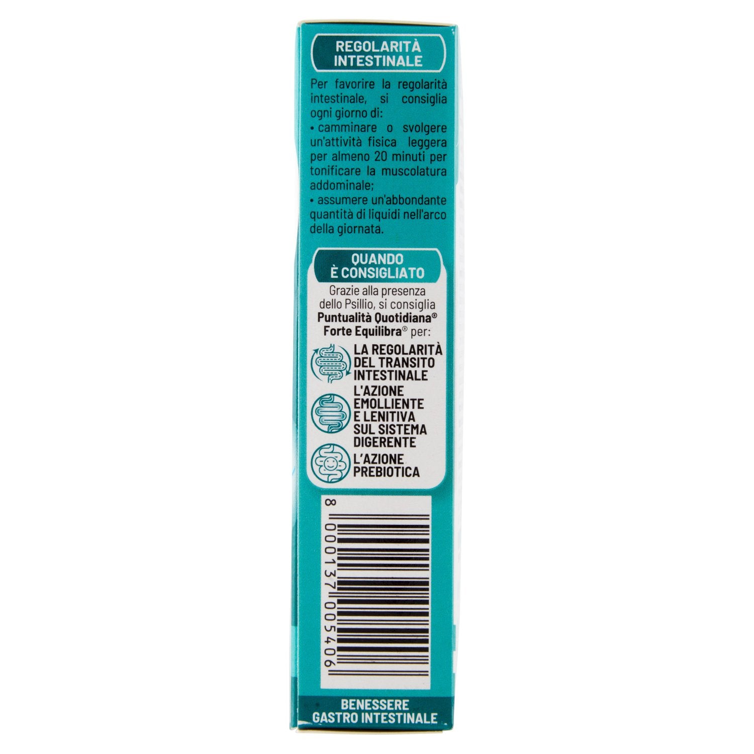 Parte+destra+planogramma