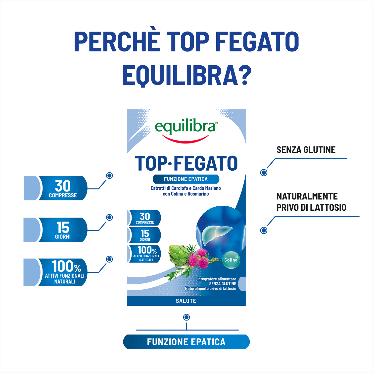 Top-Fegato per la funzione epatica