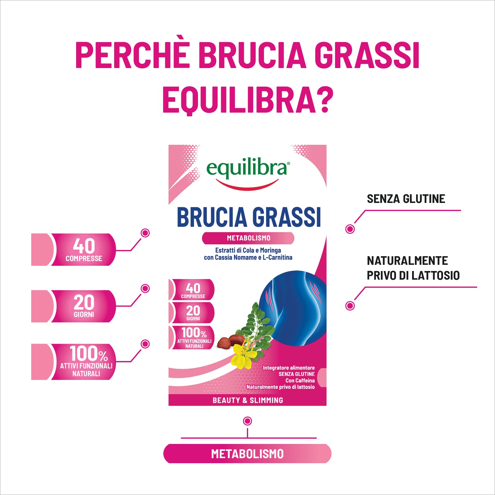Brucia Grassi