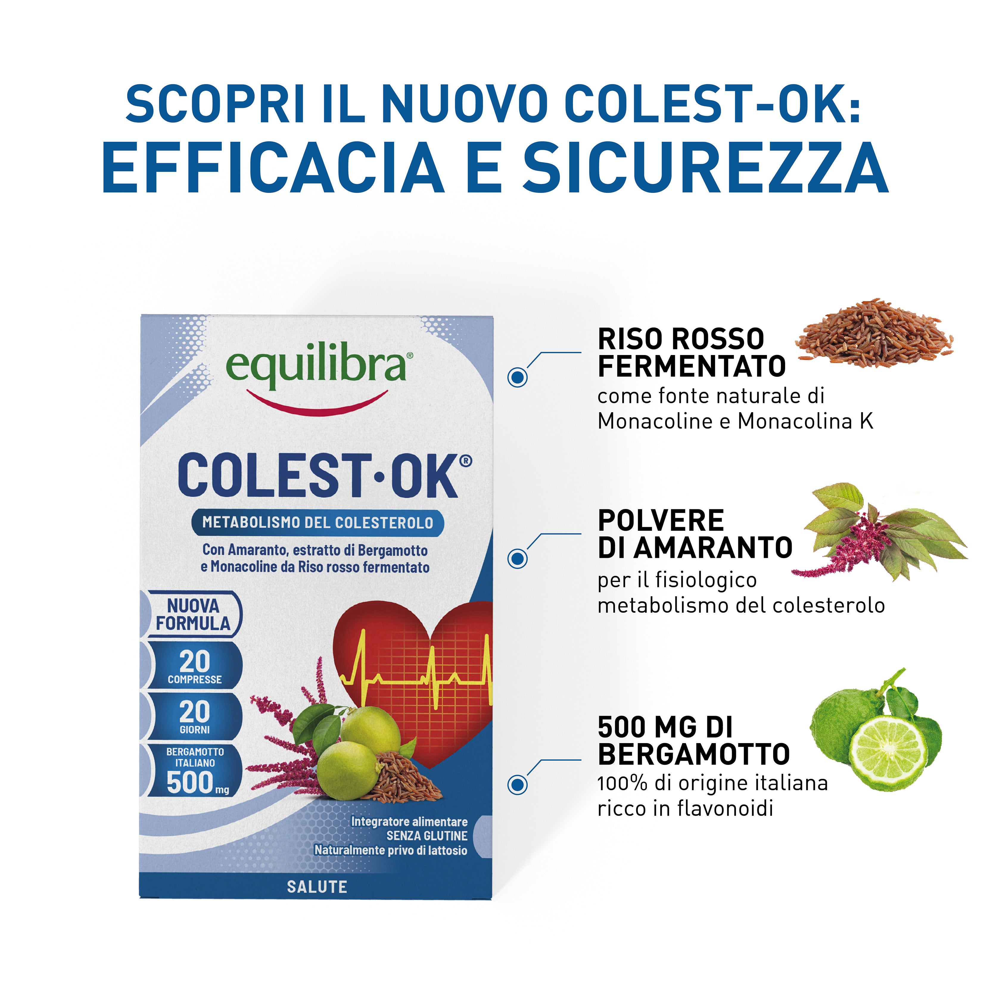 Colest-Ok per il metabolismo del colesterolo