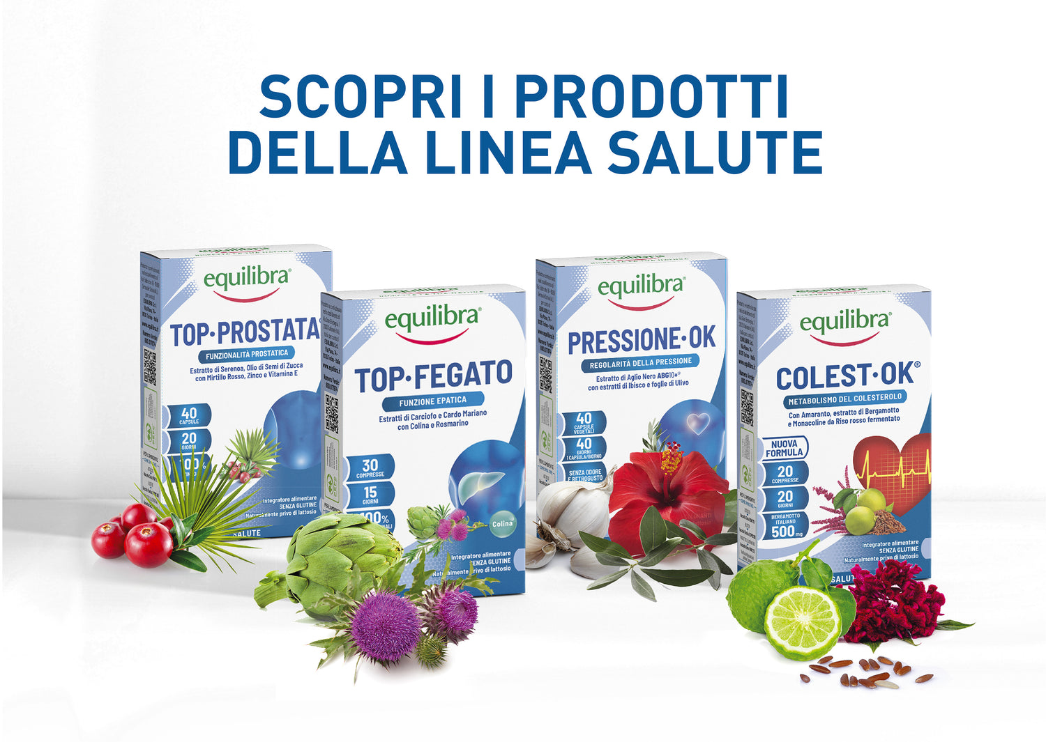 Colest-Ok per il metabolismo del colesterolo