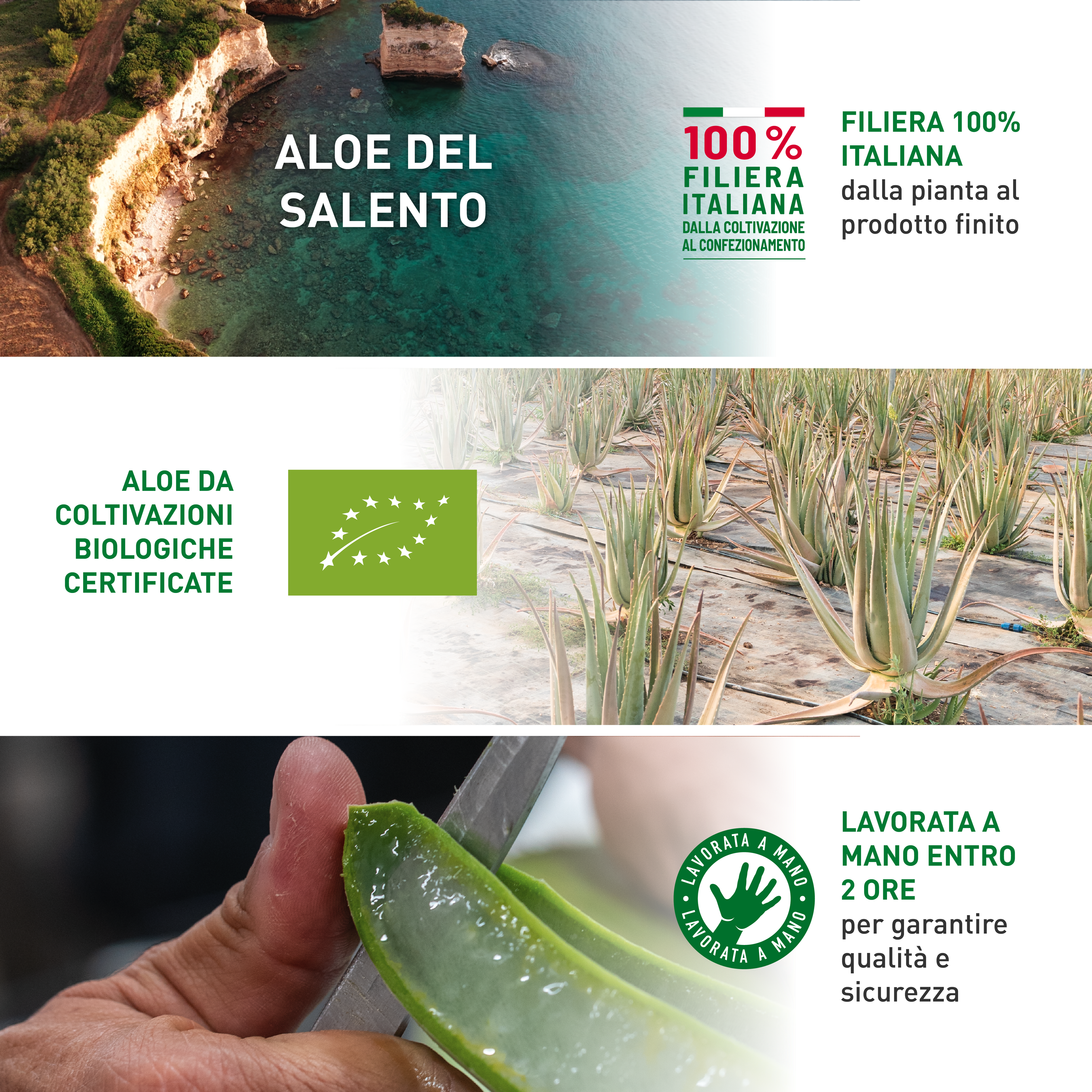 Aloe Bio Italiana