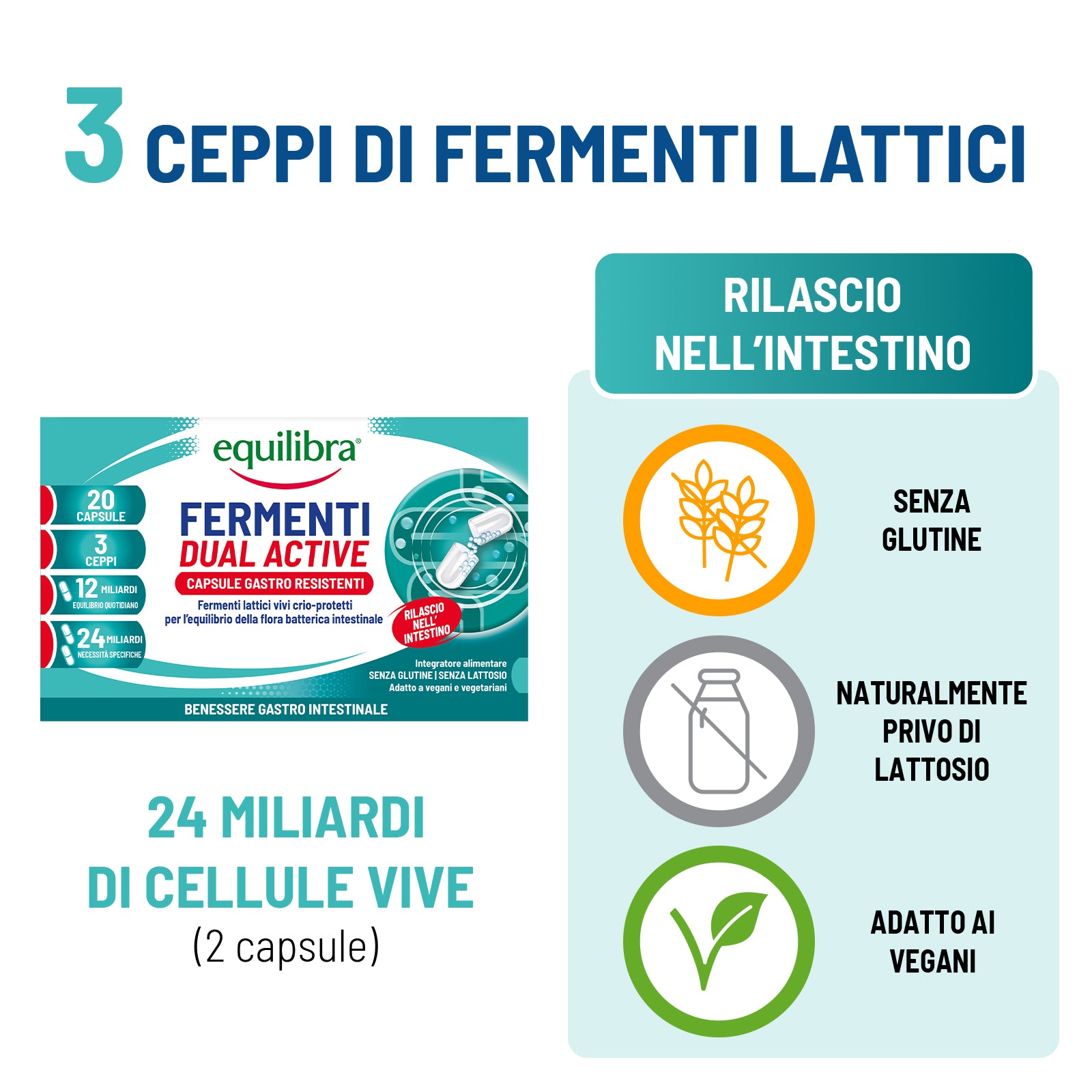 Fermenti Dual active