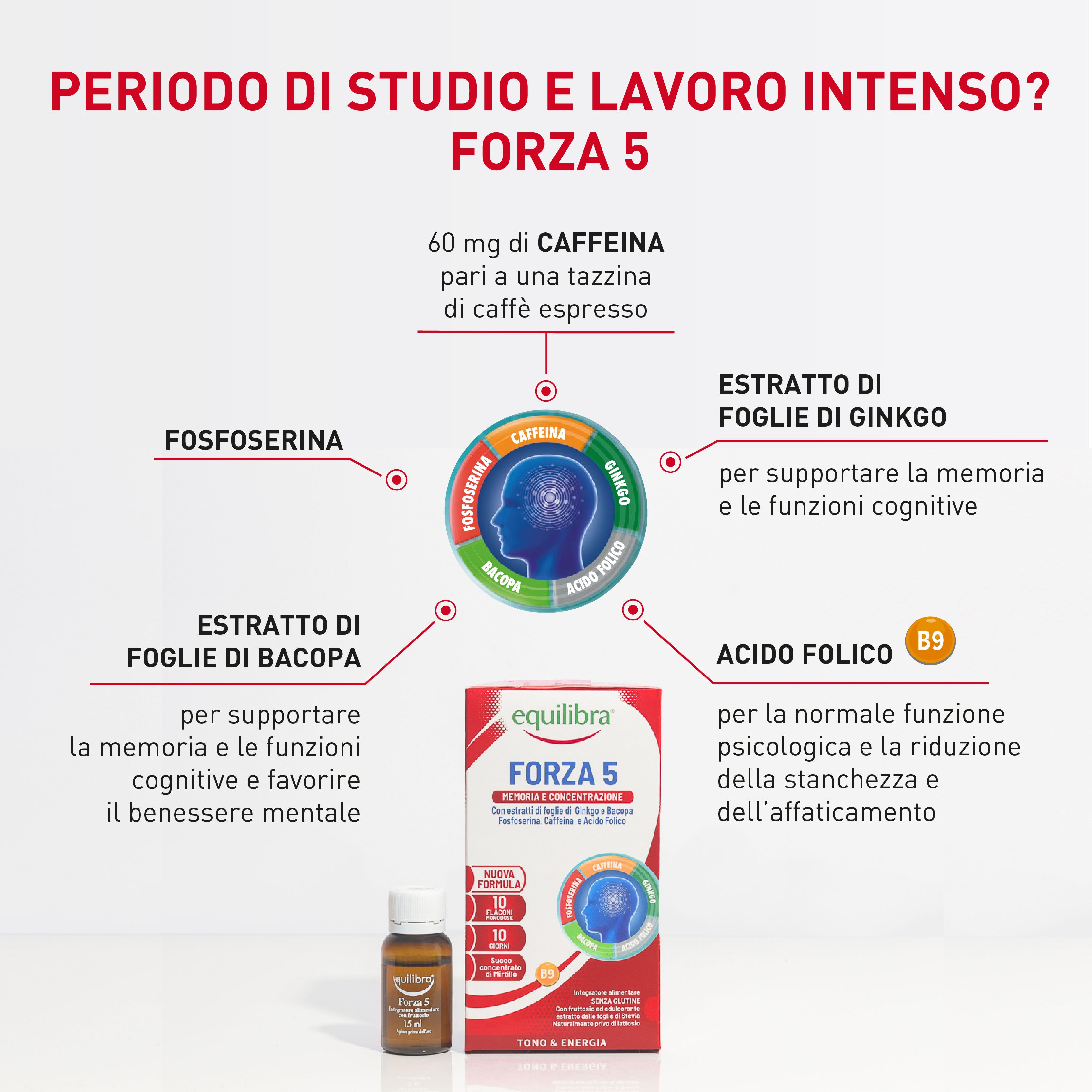 Forza 5 per la memoria e la concentrazione