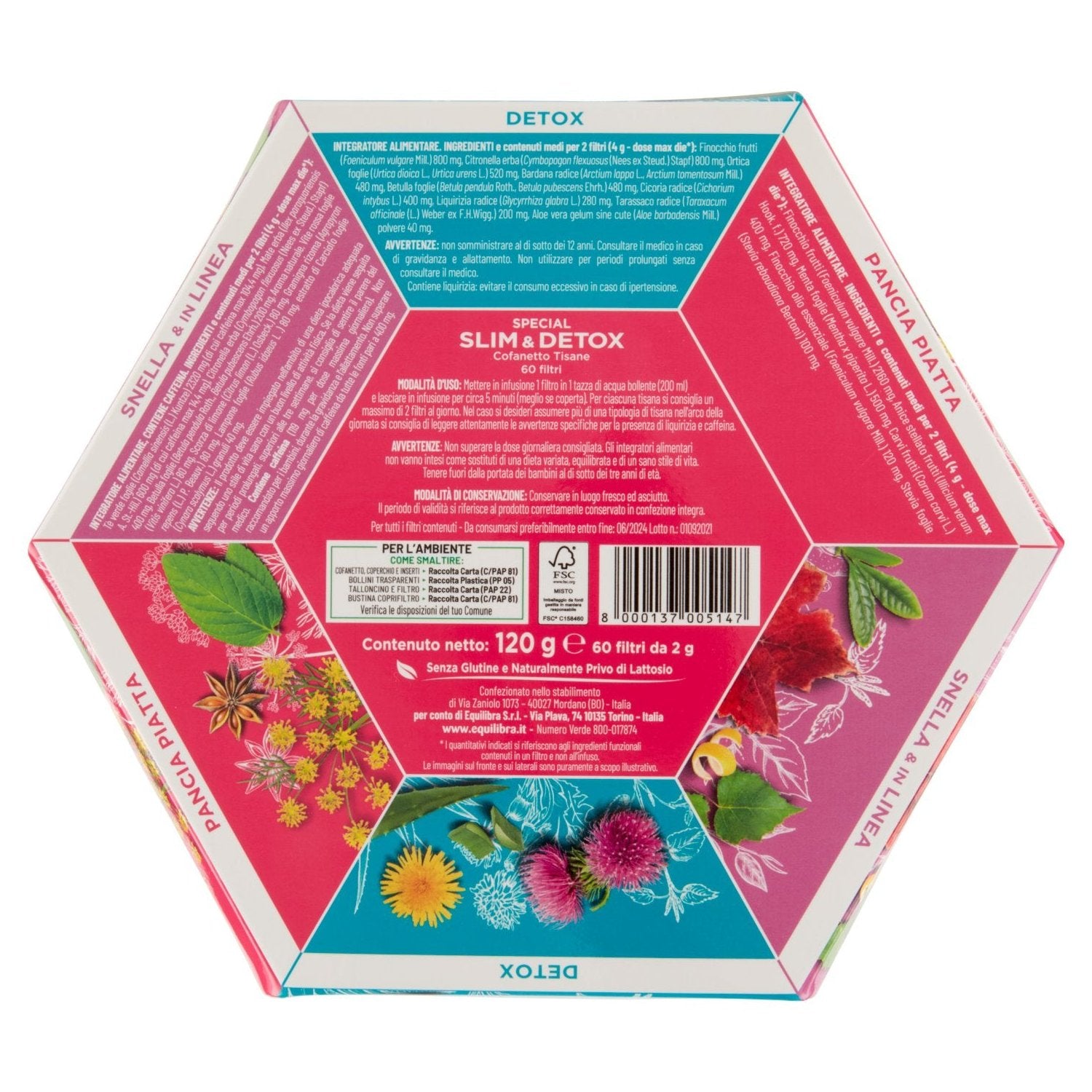 Parte+posteriore+planogramma