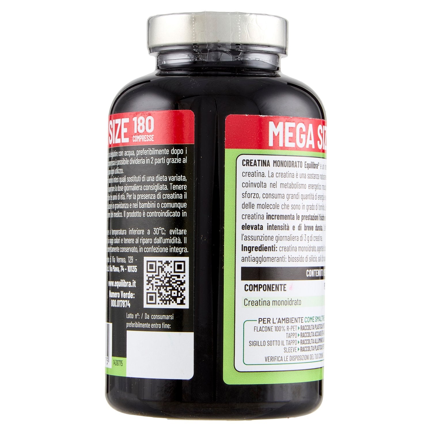 Parte+posteriore+planogramma