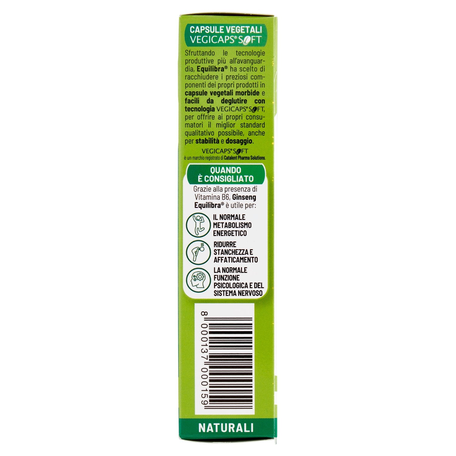 Parte+destra+planogramma