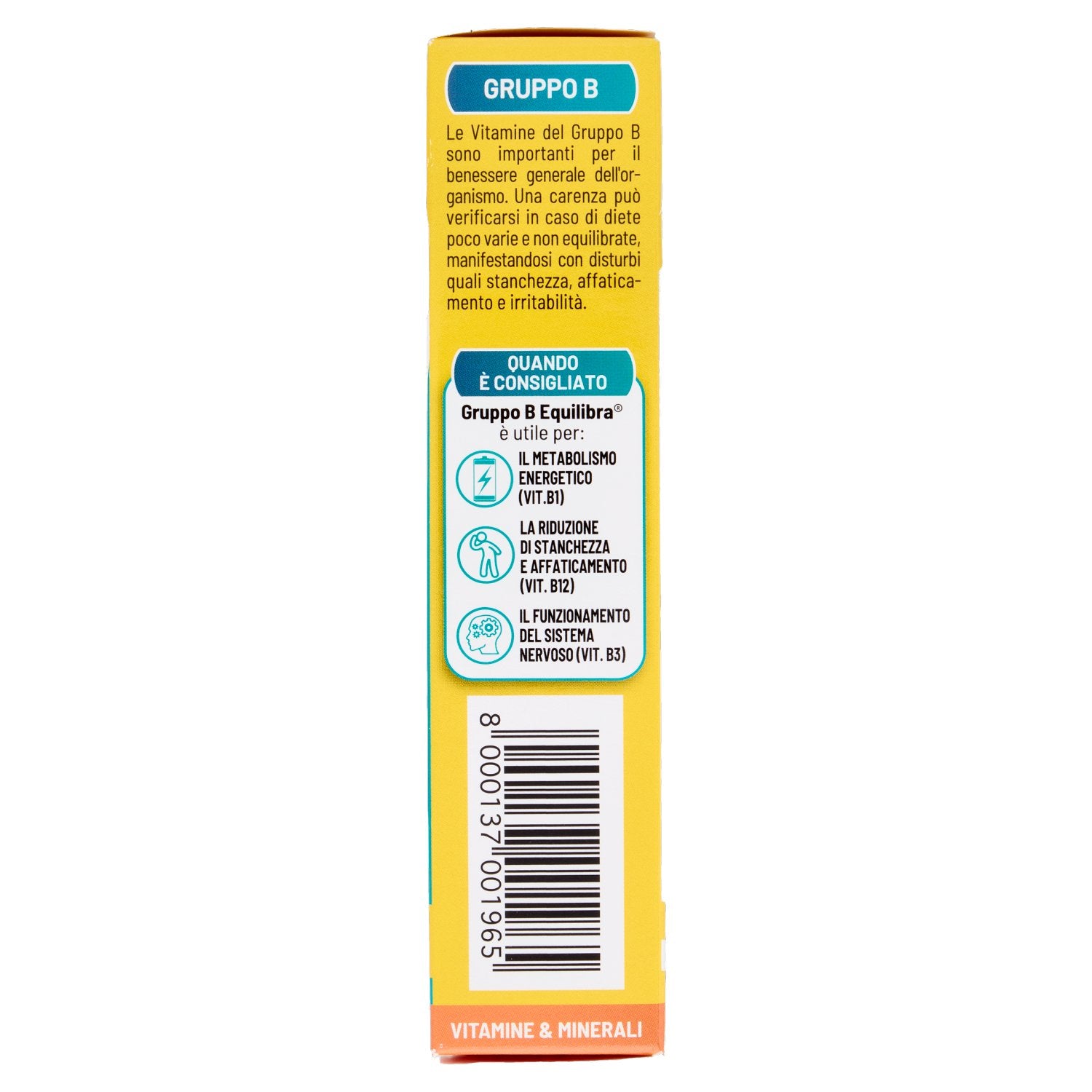 Parte+destra+planogramma