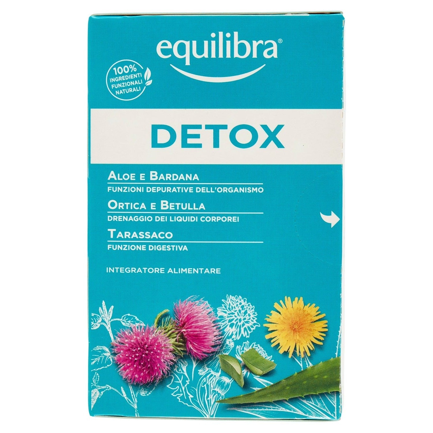 Parte+posteriore+planogramma