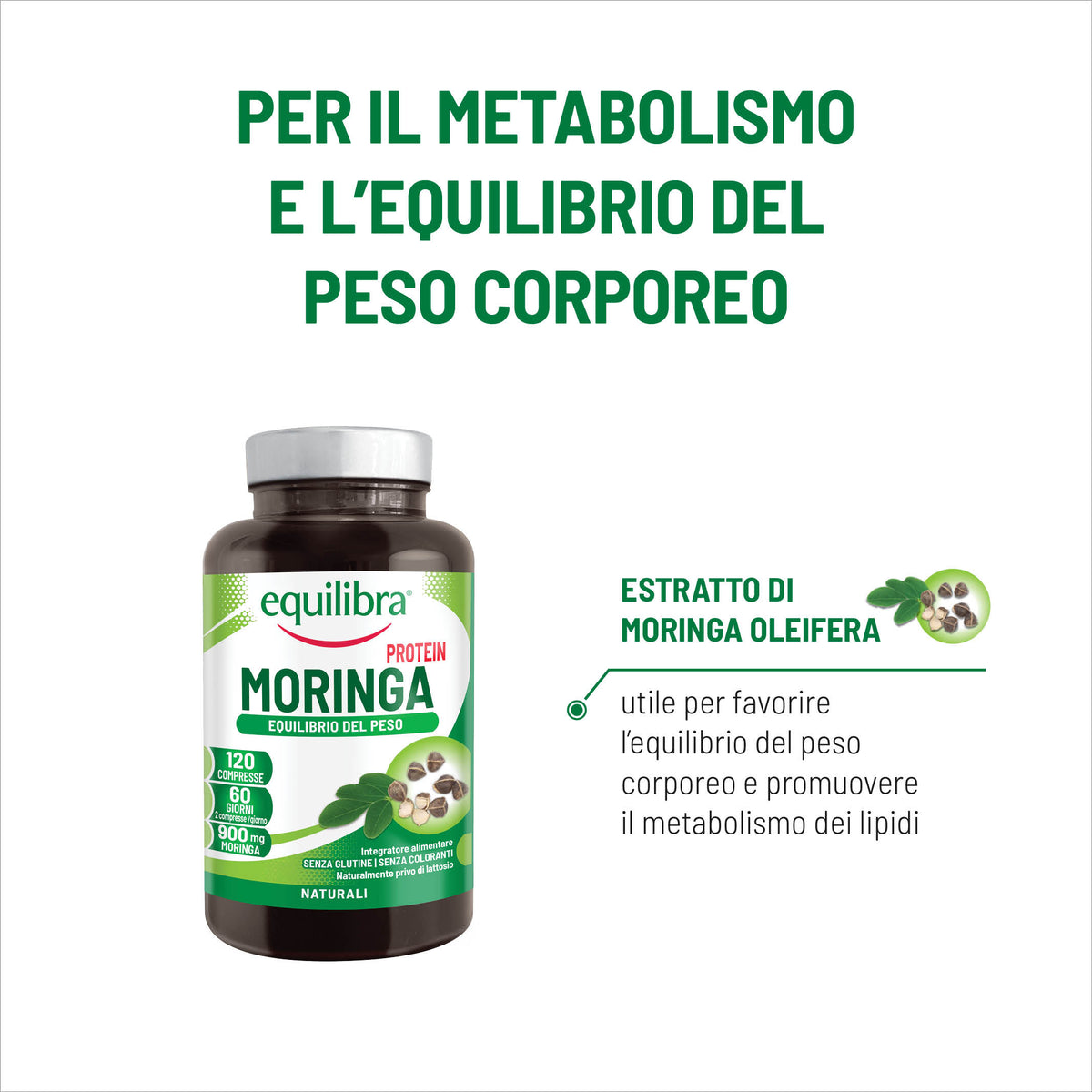 Moringa Protein per l&