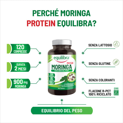 Moringa Protein per l&