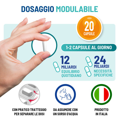 Fermenti Dual active