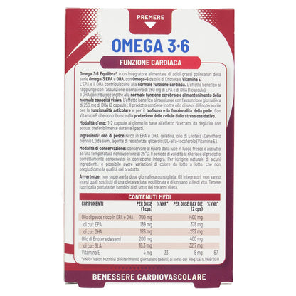 Parte+posteriore+planogramma