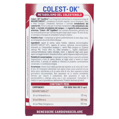 Parte+posteriore+planogramma