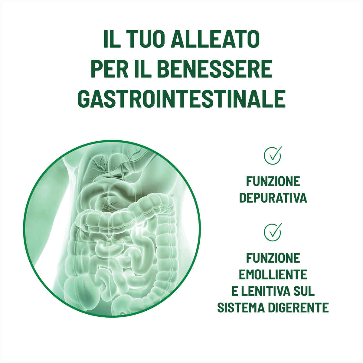 Aloe Vera Extra 99,5% 20 Giorni Detox