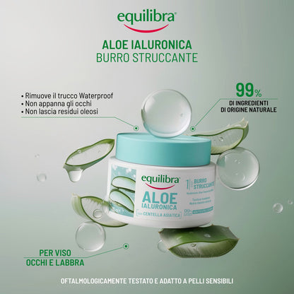 Burro Struccante Aloe Ialuronica